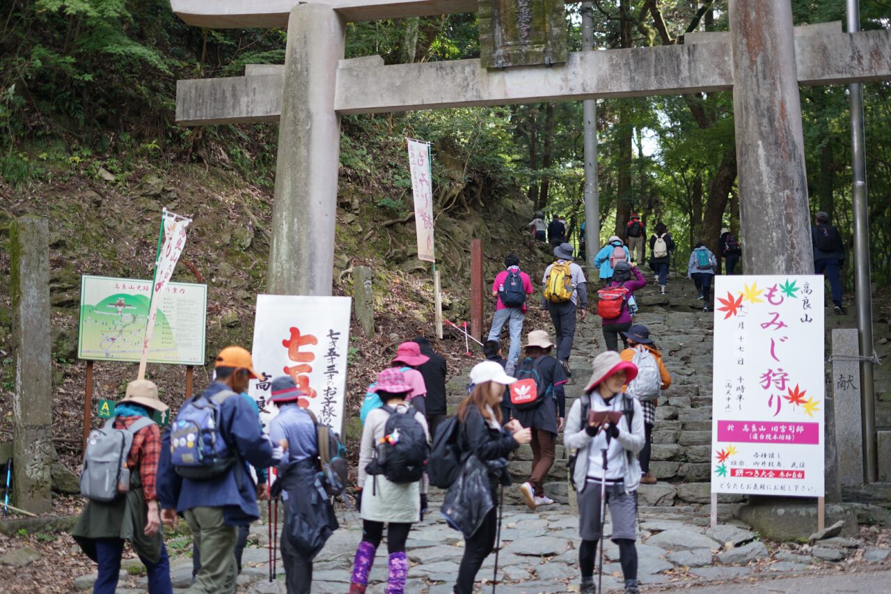 2026年高良山もみじ狩りオルレ